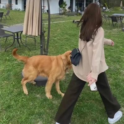 缘结甘神家